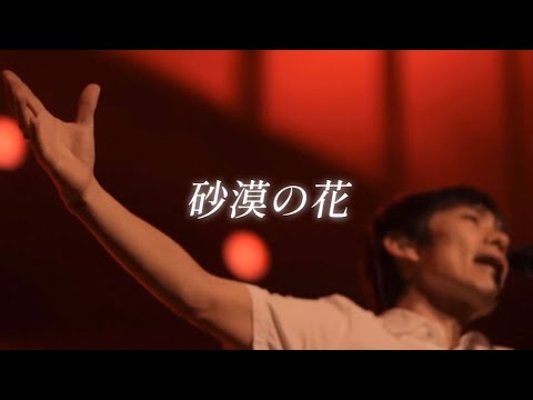 메마른 땅일지라도, 언젠가 만개할 우리를 위해🌷: 스핏츠(Spitz, スピッツ) - 사막의 꽃(砂漠の花, Sabaku No Hana)