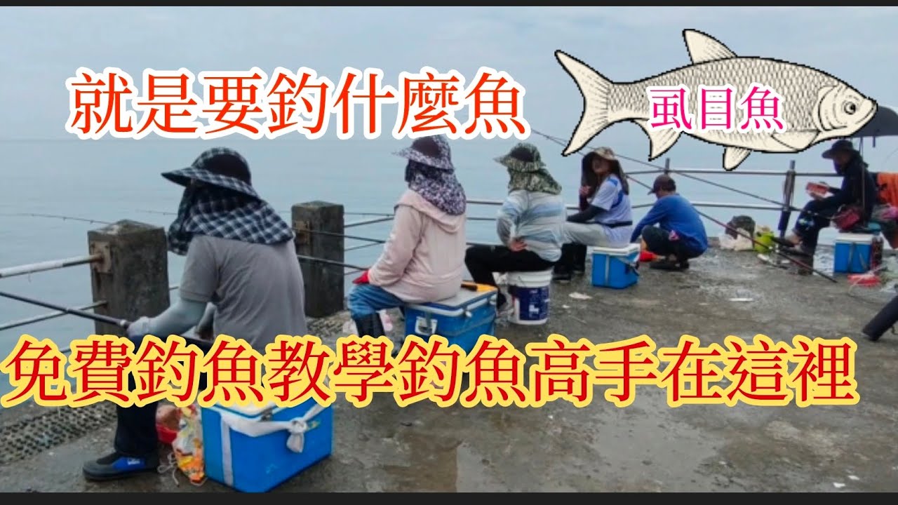 （第67集）就是要釣什麼魚？免費教釣魚：釣魚高手在這裡 - YouTube