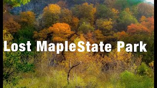 The Best Campsites at Lost Maples (Full Tour & Review)