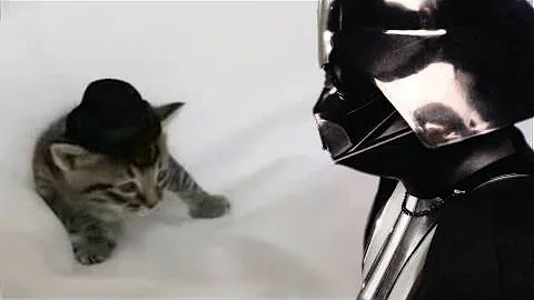 Chad Vader Threatens Kitten Wearing a Hat