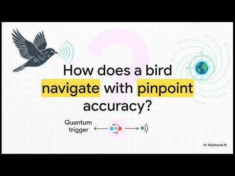 How Migratory Birds Fly: The Quantum Navigator
