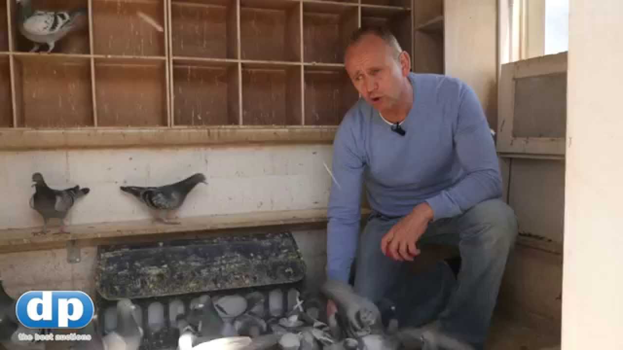 Hennie la Grouw, Amsterdam