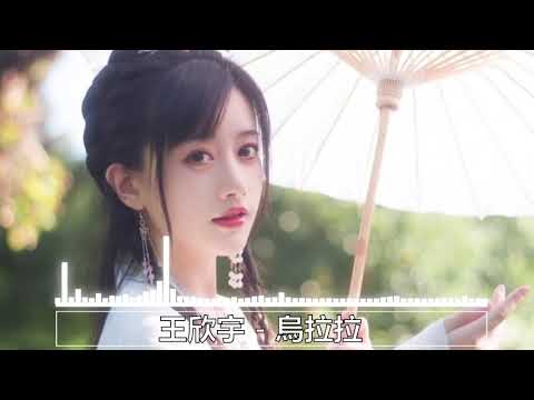 王欣宇 - 烏拉拉『我就是愛哭愛笑大眼睛的女生烏拉拉，愛上不言不語單眼皮的那個你呀。』【動態歌詞Lyrics】