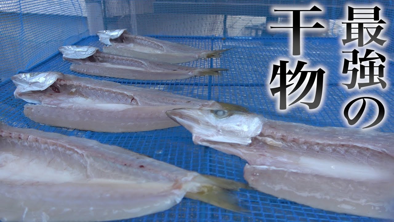 まもなく旬 脂のノリが最高すぎる干物 家で簡単にできる干物の作り方教えます Youtube まもなく旬 脂のノリが最高すぎる干物 家で簡単にできる干物の作り方教えます Youtube