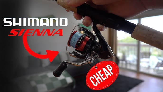 Shimano Sienna FG Review 