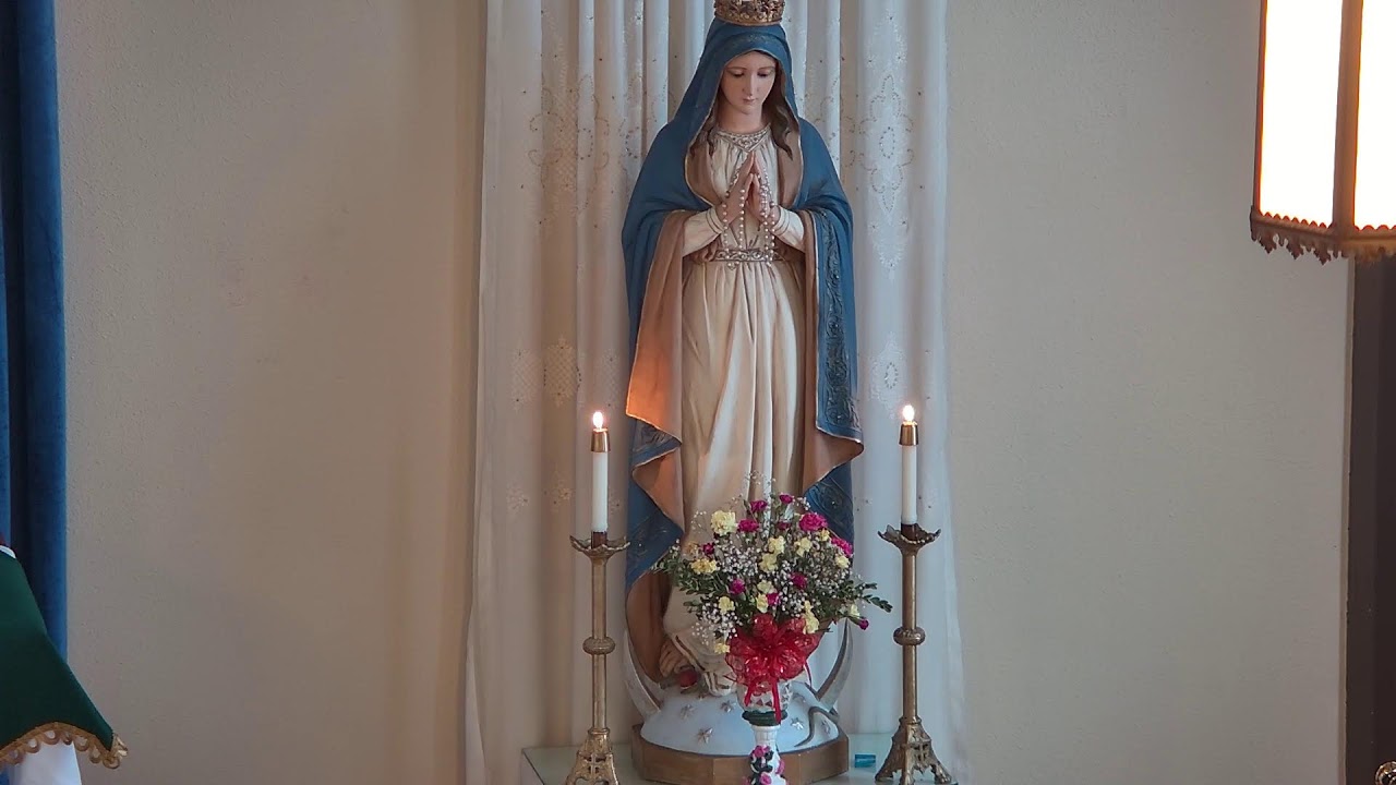 Rosary, August 11, 2024