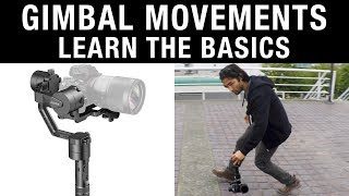 Gimbal Movements: Learn the Basics