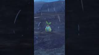 Random Shiny And Marked Turtwig Sleep-Time Mark