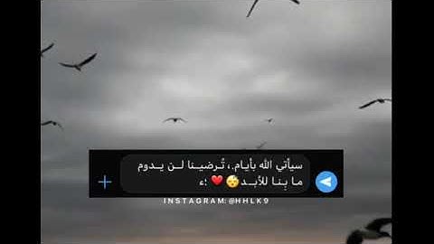 سورة مريم عبدالرحمن مسعد