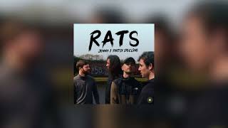Rats  Patsy Decline 