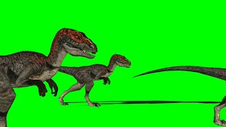 Green Screen Velociraptor / Raptor walking