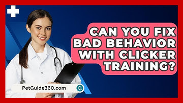 Can You Fix Bad Behavior With Clicker Training? - PetGuide360.com
