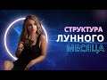 Структура лунного месяца - ваш индивидуальный цикл