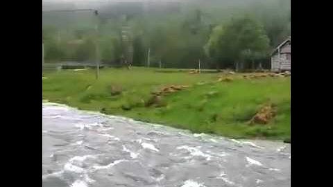 إن الذين قالوا الله ربنا ثم استقاموا | تلاوة خاشعة رائع