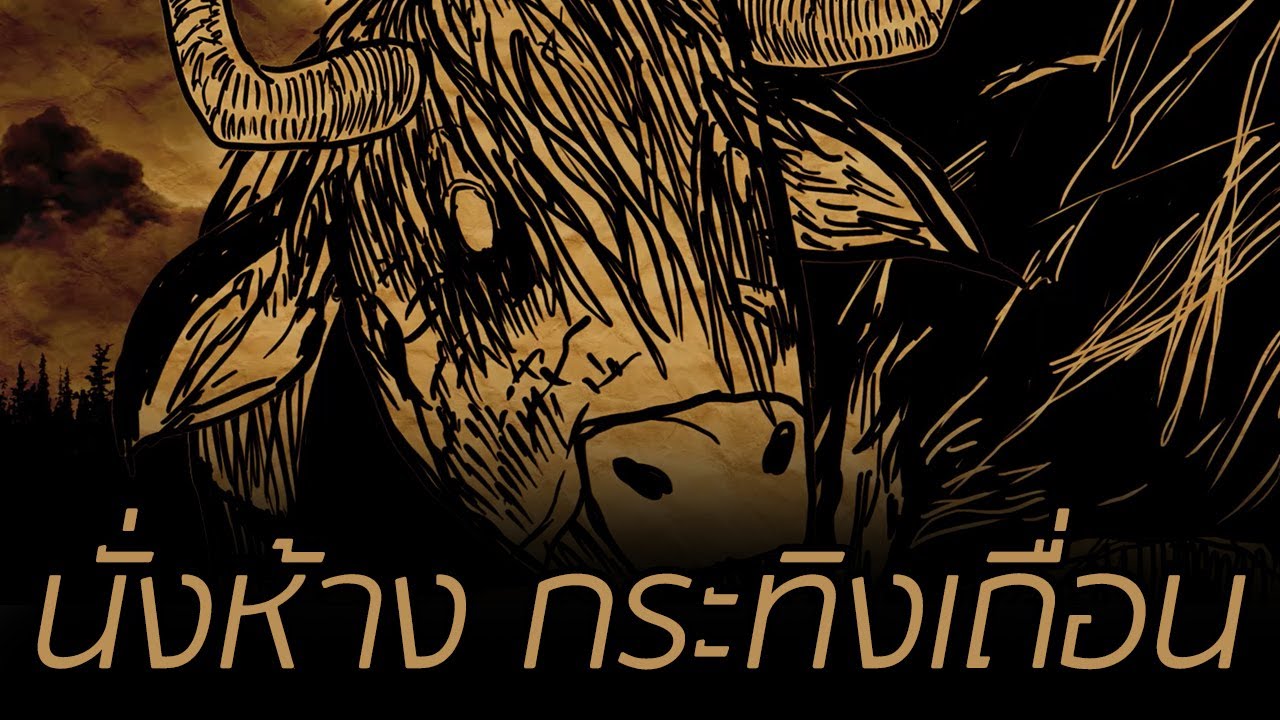 นั่งห้าง กระทิงเถื่อน