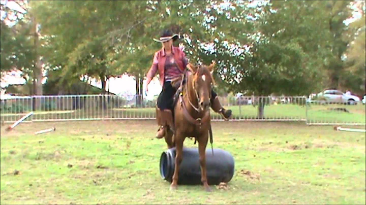 Deborah Hedges & DS Peponitas Boy Sue, Pleasure an...