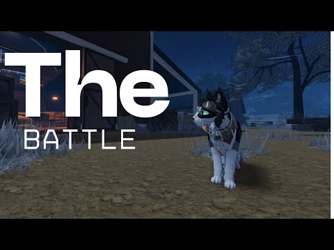 The Great Battle of Dogs versus Cats | WCUE