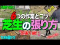 芝生の張り方完結編 ６つの作業とコツとは？何年も楽にキレイに手入れできる芝生を庭を作ろう！