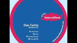 BCR022 : Dan Curtin - Wasted Stranger