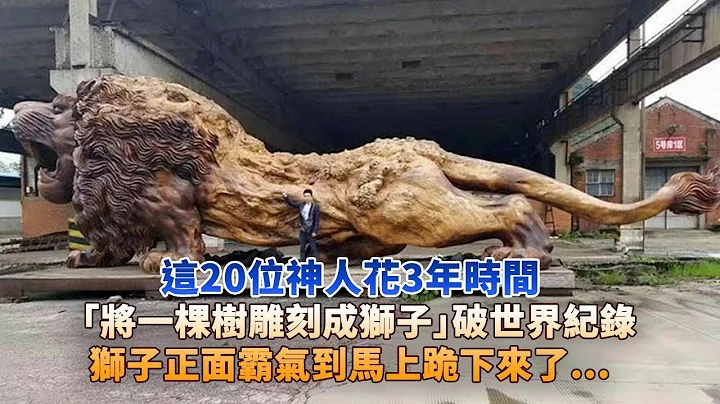 這20位神人花3年時間「將一棵樹雕刻成獅子」破世界紀錄，獅子正面霸氣到馬上跪下來了... - 天天要聞