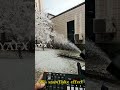 Snow Effect Volume Control via DMX Controller