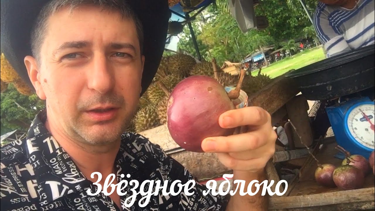 ⭐ Какое на вкус Звёздаяблоко (Star Apple)? Первое впечатление. Уверен, Вам этот вкус хорошо знаком!