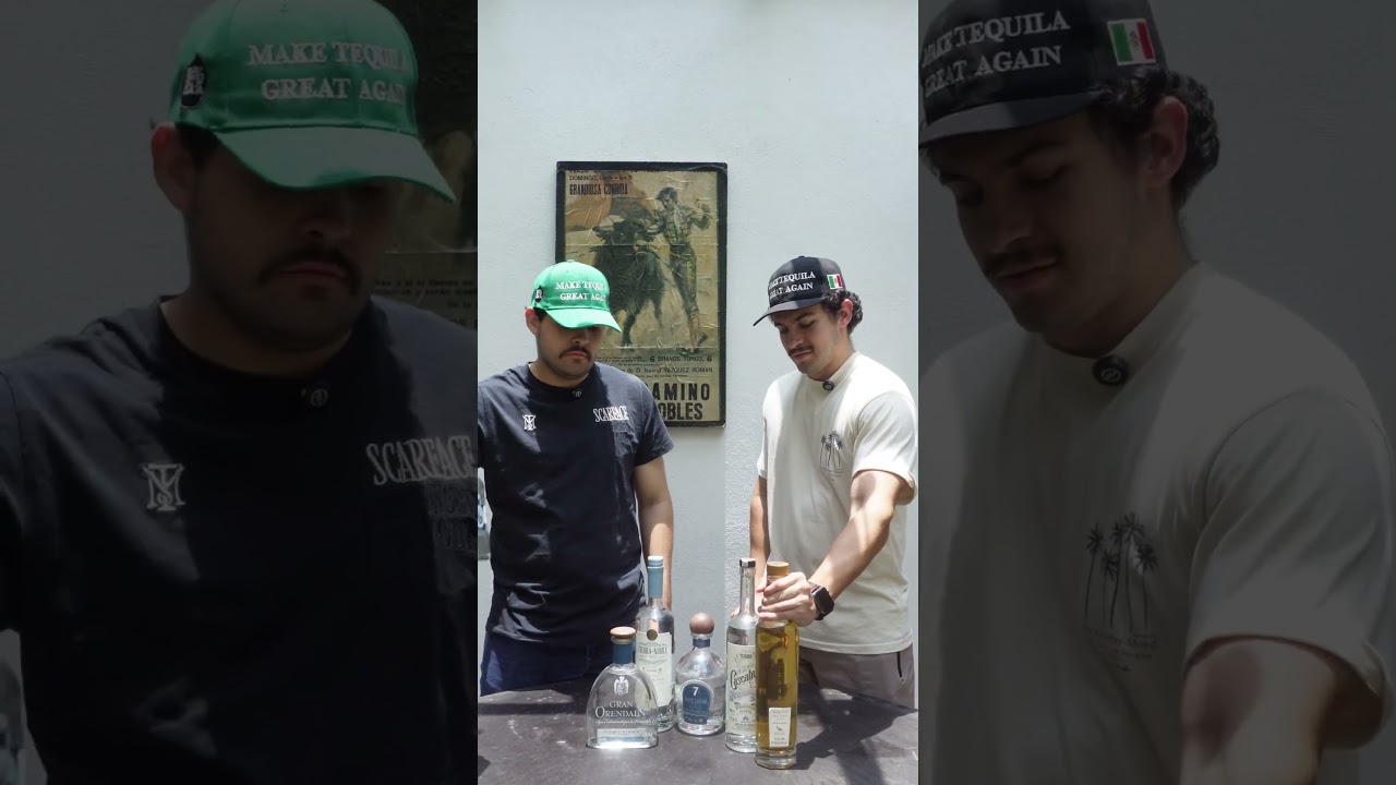 ¿Mejores que Don Julio Blanco? Top 10 tequilas que debes probar