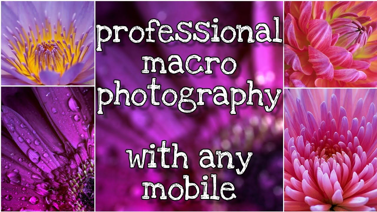 Macro photography with mobile 🔥 Macro photography tips and tricks Macro photography ideas