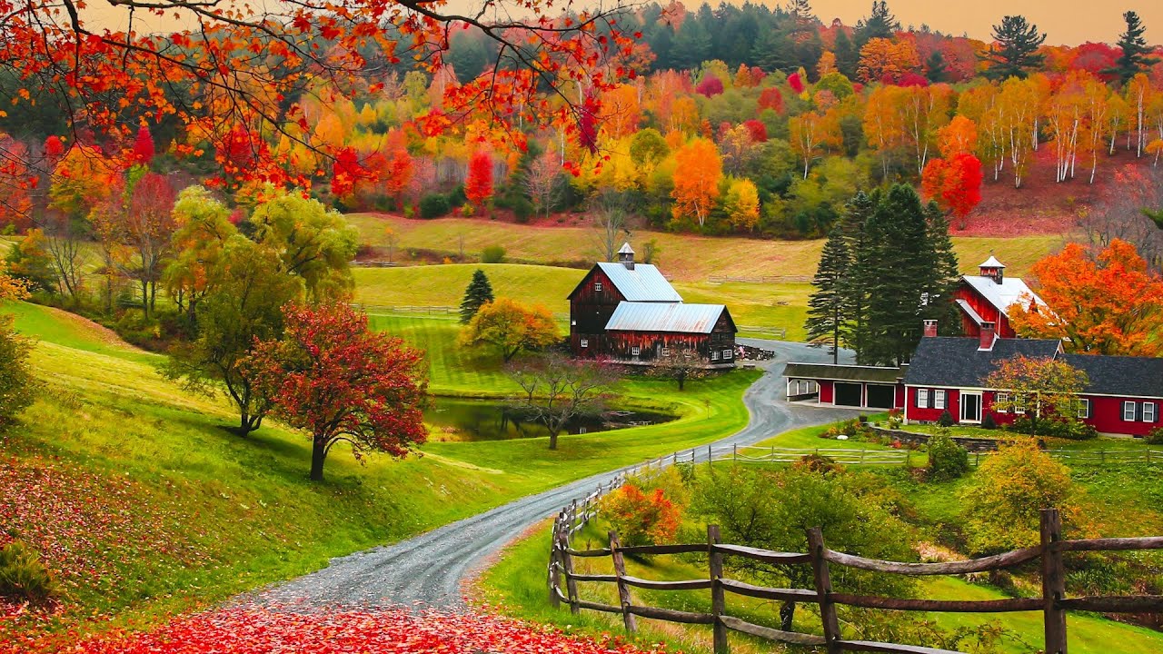 Autumn Foliage Golden Morning Sunrise, Beautiful Relaxing Hymns, Peaceful piano, by Tim Janis