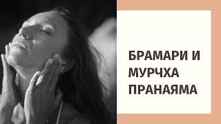 видео: Техники Брамари и Мурчха. картинка: Техники Брамари и Мурчха.