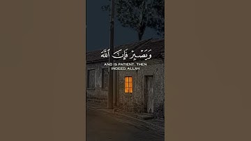 Quran alkrim   القرآن الكريم   #quran #المصحف #اكسبلور #راحة_نفسية #حالات_واتس