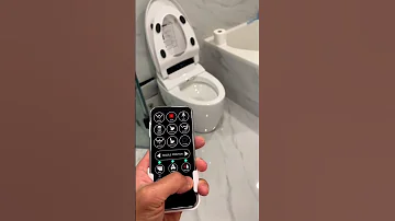 Smart Toilet 