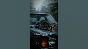 القارئ عبدالرحمن مسعد #اكسبلور #قرآن #عبدالرحمن_مسعد #fy #قران_كريم