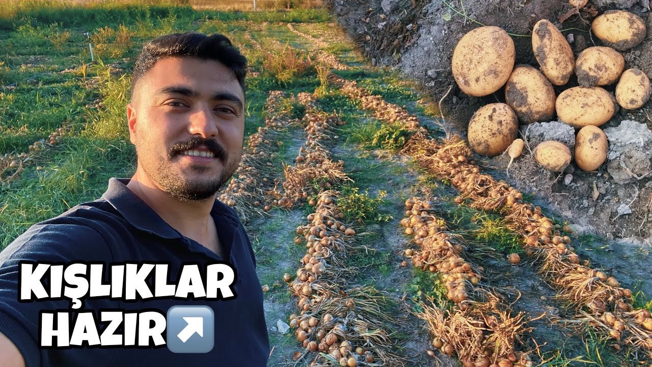KIŞLIK PATATESLER SOĞANLAR HAZIR AMA