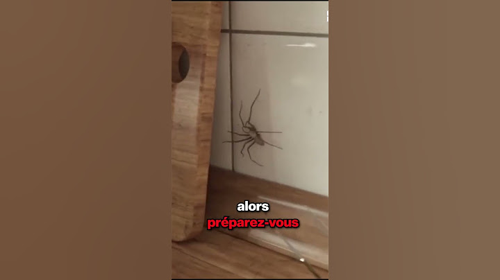 Cette Vidéo Fait Super Peur
