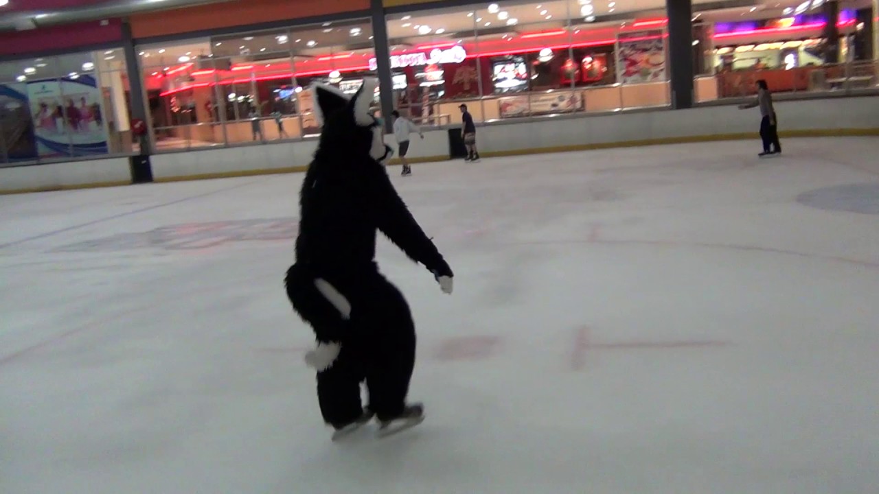 Fursuit Ice Skating Northgate Ice Rink Youtube