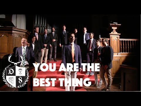 You Are The Best Thing | Middlebury Dissipated Eight (2017)