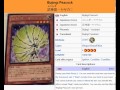 YuGiOh 101 Card Review Bujingi Peacock 
