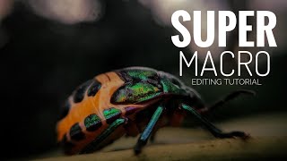 MACRO PHOTOGRAPHY AND EDITING USING SMART PHONE WITH MACRO LENS screenshot 4