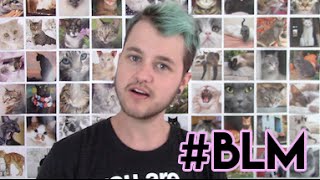 Download Chase. Black Lives Matter What White People Should Be Doing Video MP3 Chase. Black Lives Matter What White People Should Be Doing