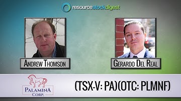 RSD Interview: Palamina (TSX-V: PA) CEO Andrew Thomson - March 14, 2019