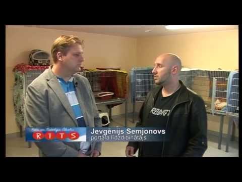 Video: Reklāmas bizness: ko ir vērts zināt?