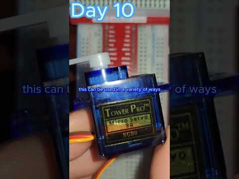 Day 10 of