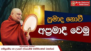 ප්‍රමාද නොවී අප්‍රමාදී වෙමු | Most Ven. Na Uyane Ariyadhamma Maha Thero