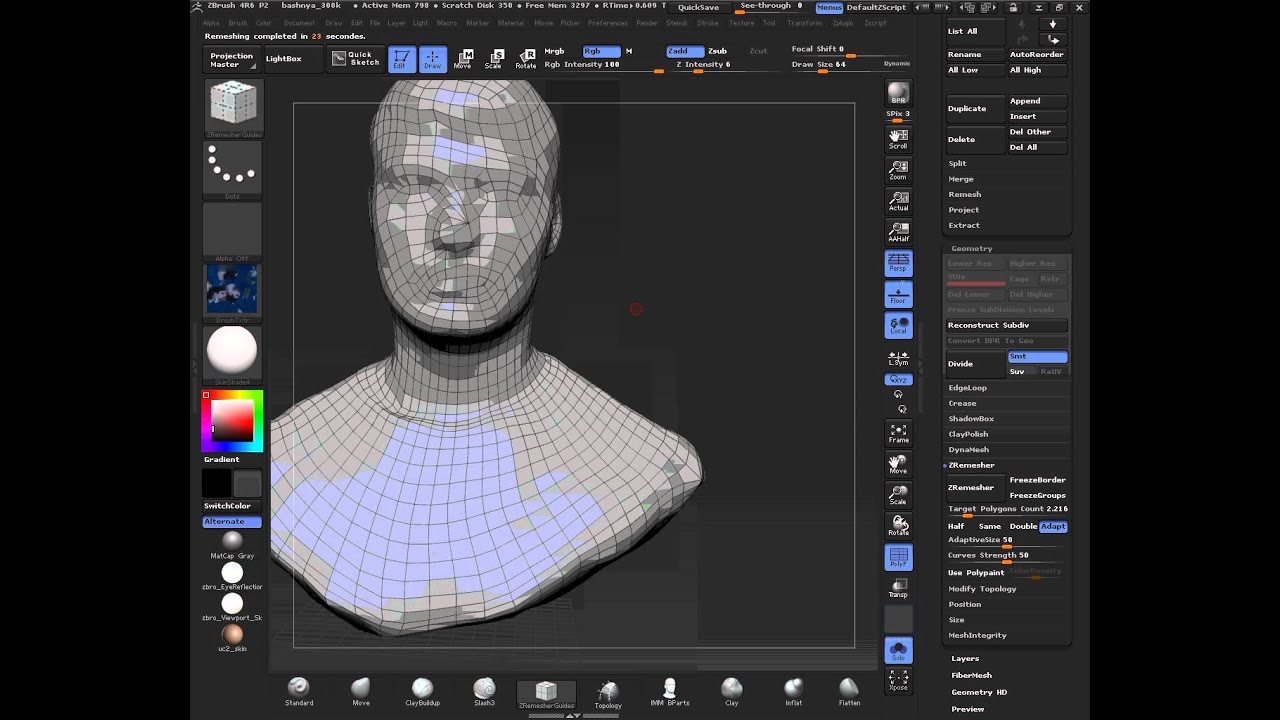how to project a mesh in zbrush