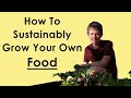 How To Sustainably Grow Your Own Food (guest submission)