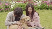公式 きみの瞳が問いかけている 吉高由里子 横浜流星 恋愛映画史を涙で塗り替える 最高純度のラブストーリー 10 23 金 本予告 Youtube 公式 きみの瞳が問いかけている 吉高由里子 横浜流星 恋愛映画史を涙で塗り替える 最高純度のラブストーリー 10 23 金 本予告 Youtube