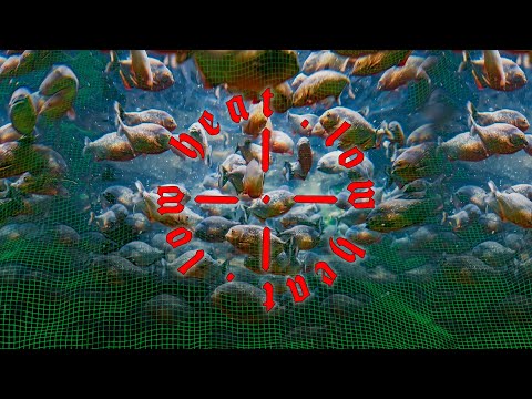 Boiler Room: Low Heat
