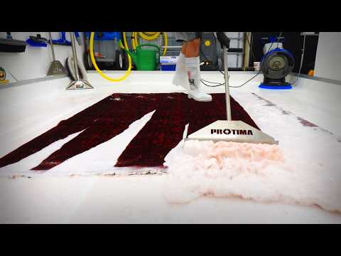 Giving Back: I've Been Doing Free Rug Cleans For Locals In Need. Satisfying Asmr Carpet Cleaning!