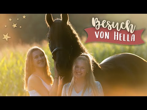 ÖSTERREICH 🇦🇹 VS